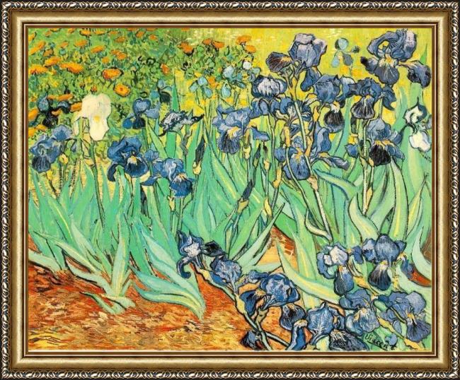 Framed Vincent van Gogh irises painting