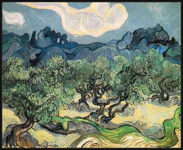 Framed Vincent van Gogh the olive trees painting