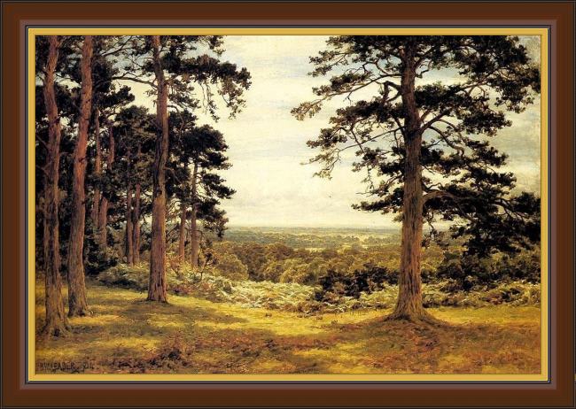 Framed Benjamin Williams Leader a peep through the pines painting