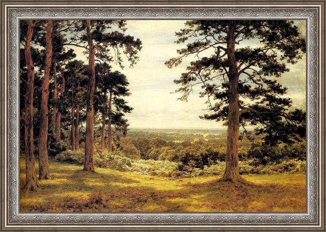 Framed Benjamin Williams Leader a peep through the pines painting