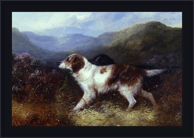 Framed George Armfield two setters in a landscape painting