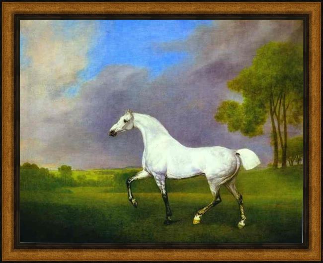 Framed George Stubbs a grey horse painting