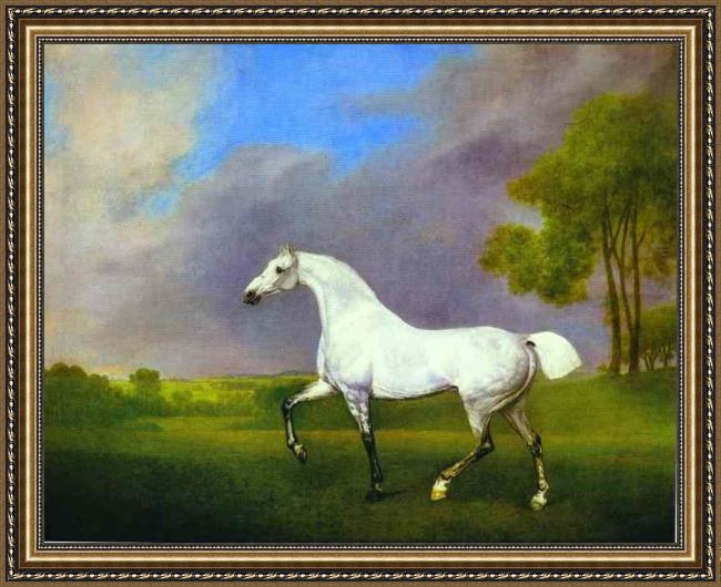 Framed George Stubbs a grey horse painting