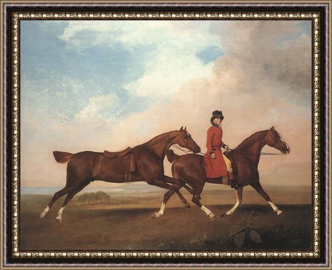 Framed George Stubbs william anderson with two saddle-horses painting