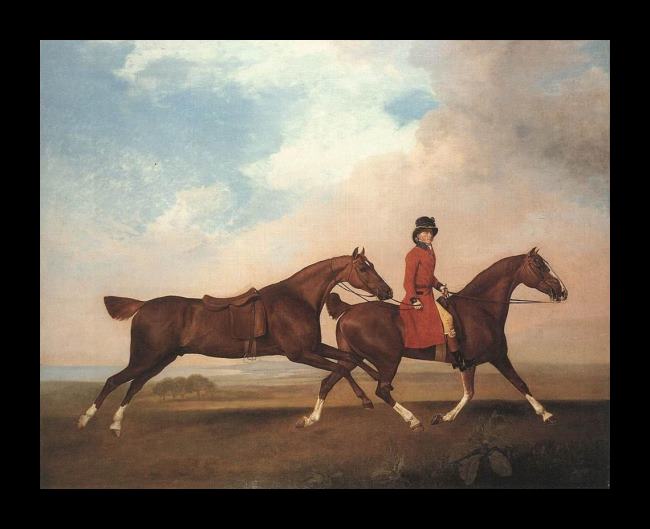 Framed George Stubbs william anderson with two saddle-horses painting