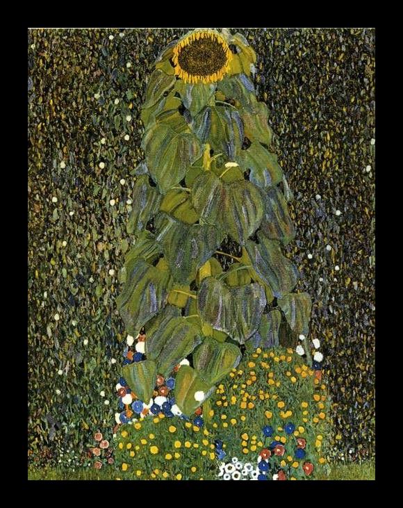 Framed Gustav Klimt the sunflower painting
