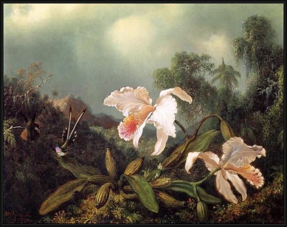 Framed Martin Johnson Heade jungle orchids and hummingbirds painting