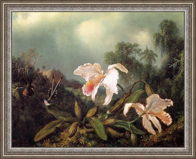 Framed Martin Johnson Heade jungle orchids and hummingbirds painting