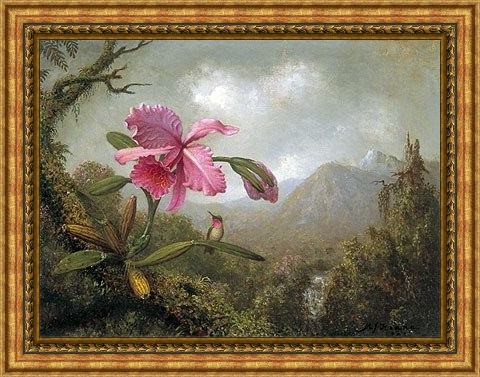 Framed Martin Johnson Heade orchid and hummingbird near mountain waterfall painting