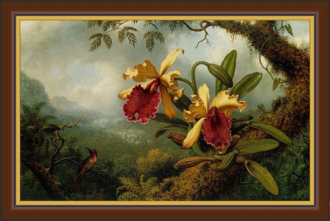 Framed Martin Johnson Heade orchids and hummingbird painting