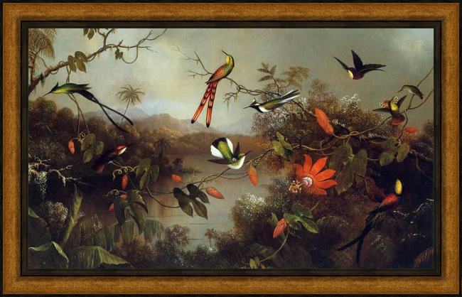 Framed Martin Johnson Heade tropical landscape with ten hummingbirds painting