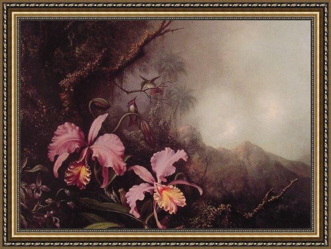 Framed Martin Johnson Heade two orchids in a mountain landscape painting
