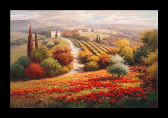 Framed Roberto Lombardi vineyard view i painting