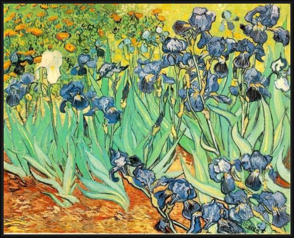 Framed Vincent van Gogh irises painting
