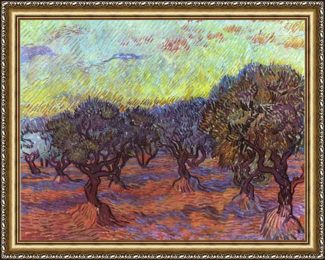 Framed Vincent van Gogh olive grove painting