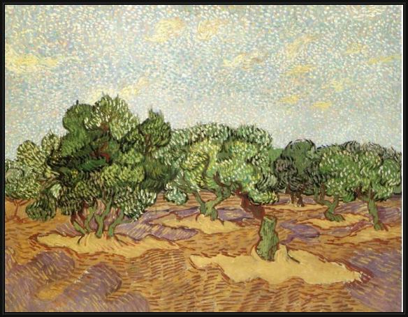 Framed Vincent van Gogh olive grove ii painting