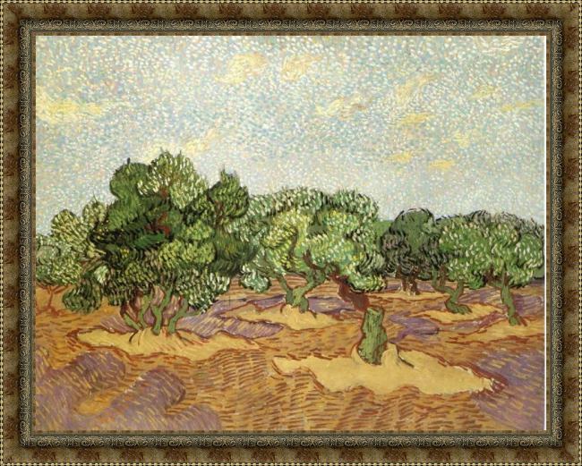 Framed Vincent van Gogh olive grove ii painting