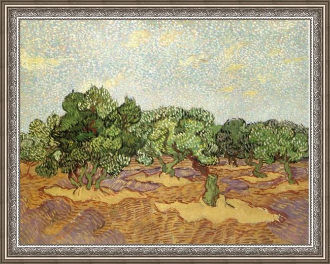 Framed Vincent van Gogh olive grove ii painting