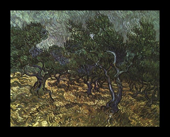Framed Vincent van Gogh the olive grove painting