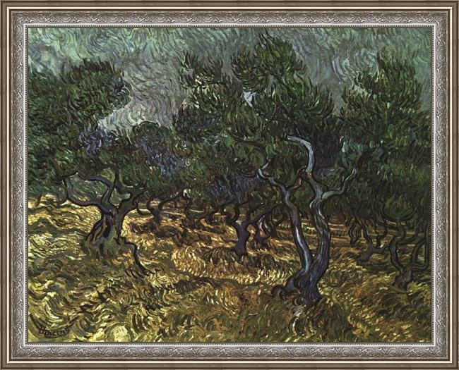 Framed Vincent van Gogh the olive grove painting