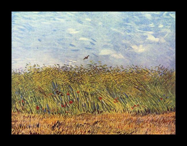 Framed Vincent van Gogh the wheat field with a lark painting
