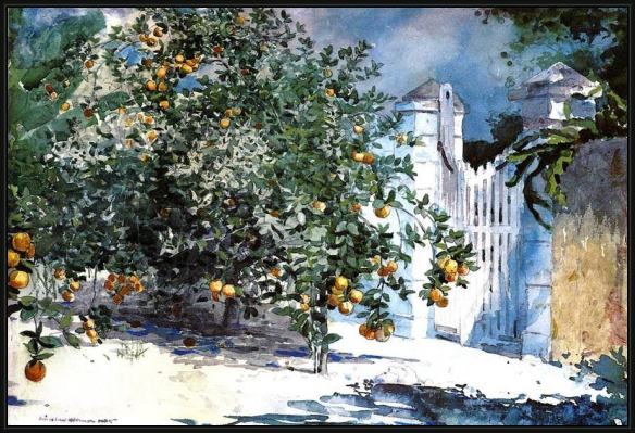 Framed Winslow Homer orange tree nassau painting