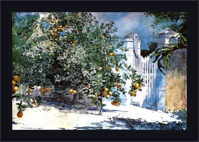 Framed Winslow Homer orange tree nassau painting
