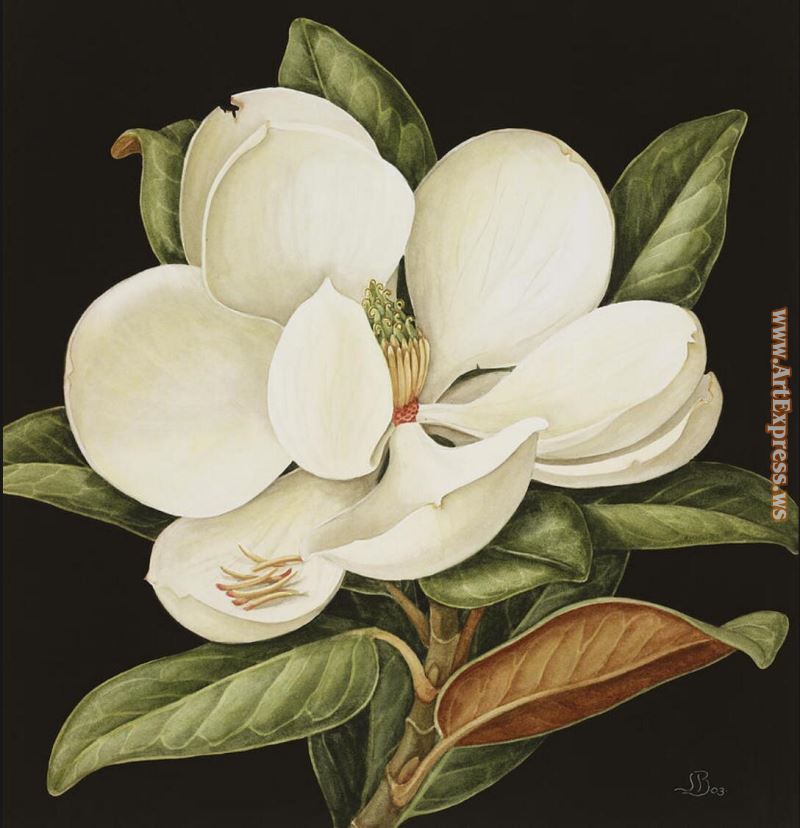 Alexei Butirskiy Magnolia Grandiflora